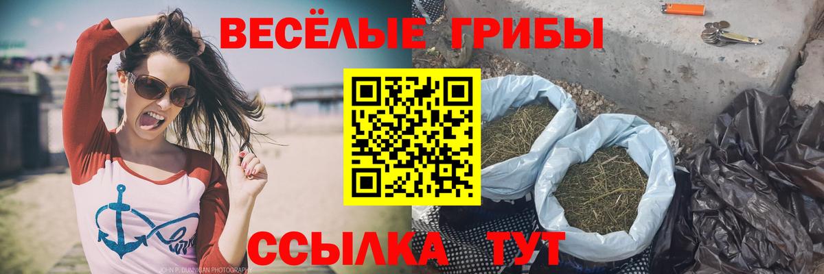 Донской  Псилоцибиновые грибы GOLDEN TEACHER  Вход с VPN 
